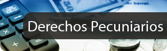 Derechos Pecuniarios